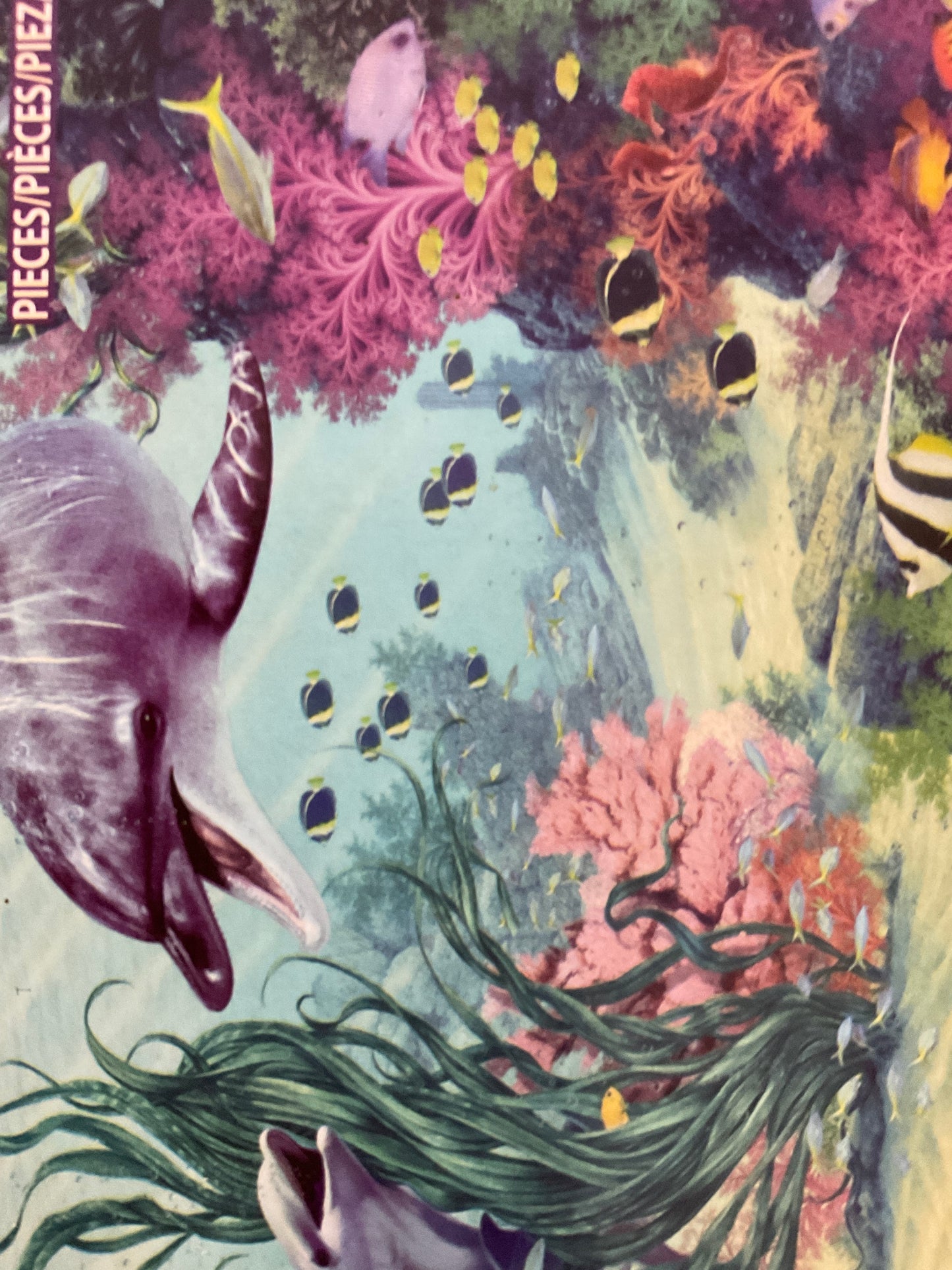 Rompecabezas delfines