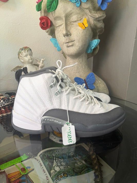 Nike Air Jordan 12 Retro
