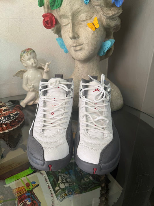 Nike Air Jordan 12 Retro